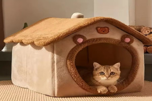 Cat house