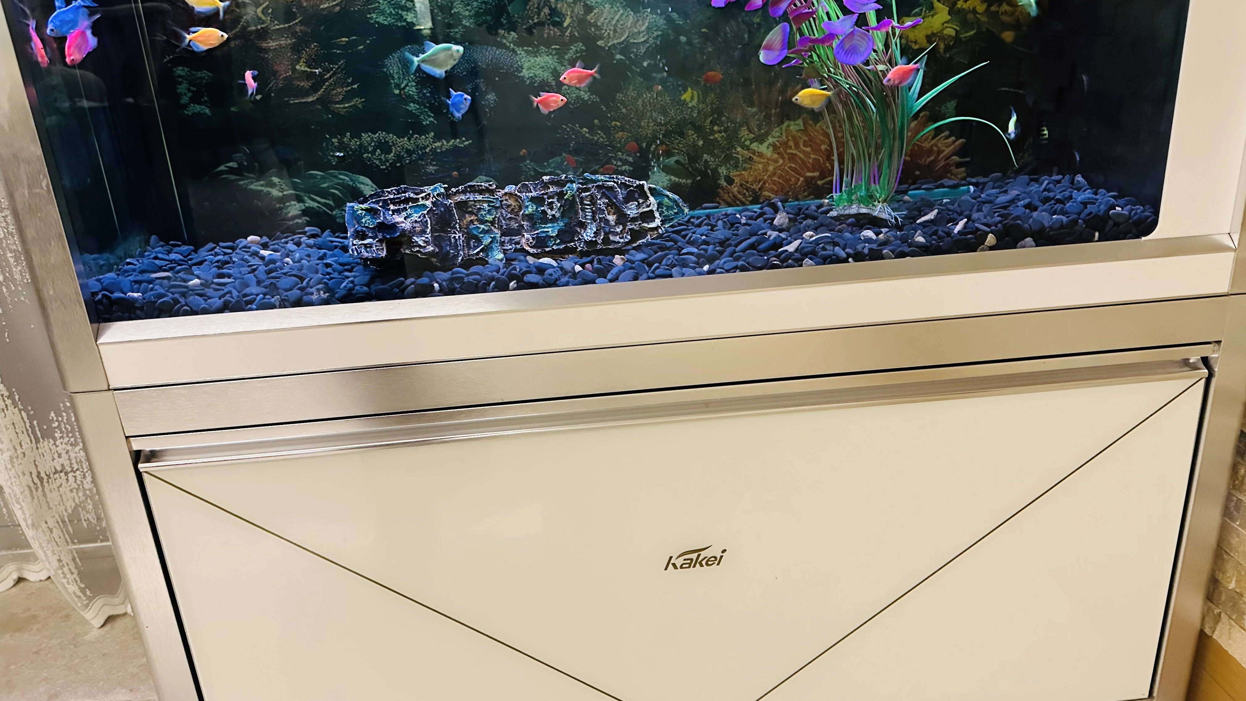 Fishtank