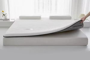 Mattress Protector