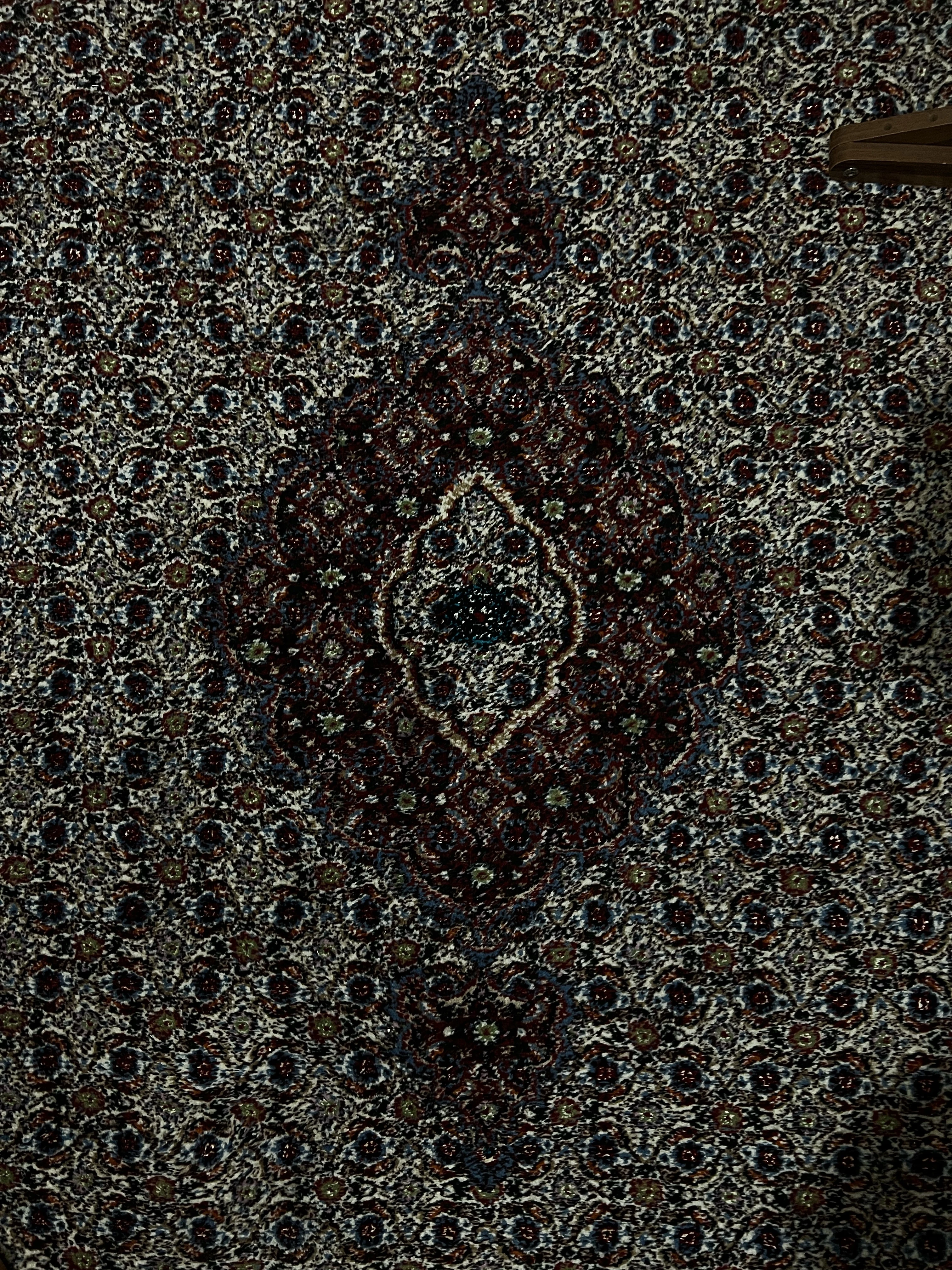 Persian rug 🇮🇷
